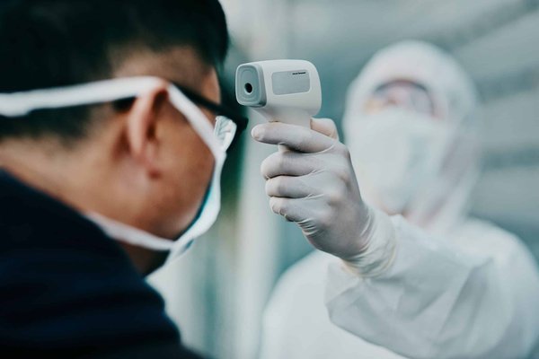 Can Dogs Be Trained to Detect Gluten for Sensitive Owners, and How?