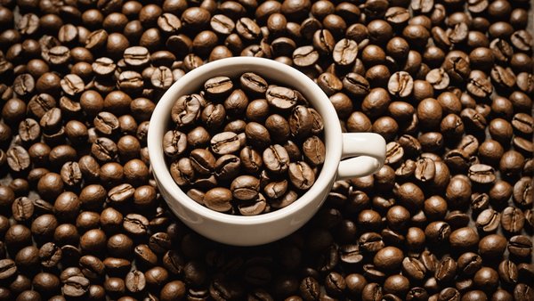 Tout sur les coffee beans de maxicoffee